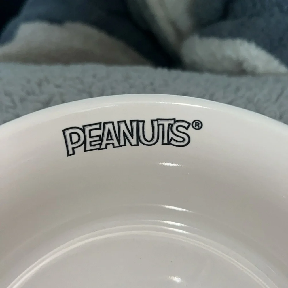 New Rae Dunn Halloween peanuts snoopy dog food bowl